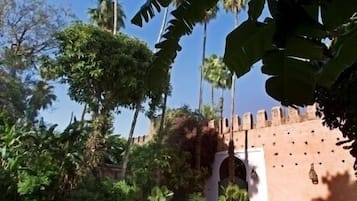 Hồ bơi ngoài trời, dù/ô trên bãi biển/hồ bơi, ghế dài tắm nắng