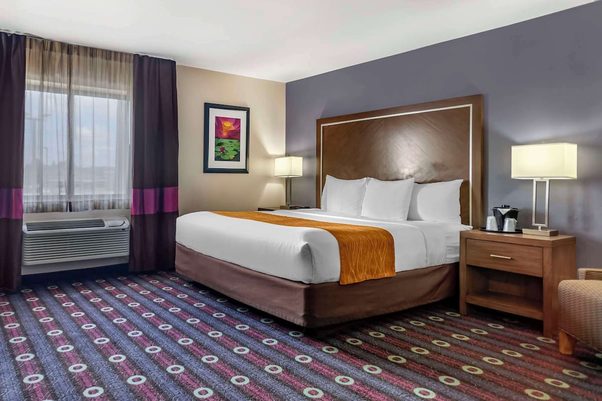 Standard Room, 1 King Bed, Non Smoking | Individually furnished, desk, iron/ironing board, free WiFi