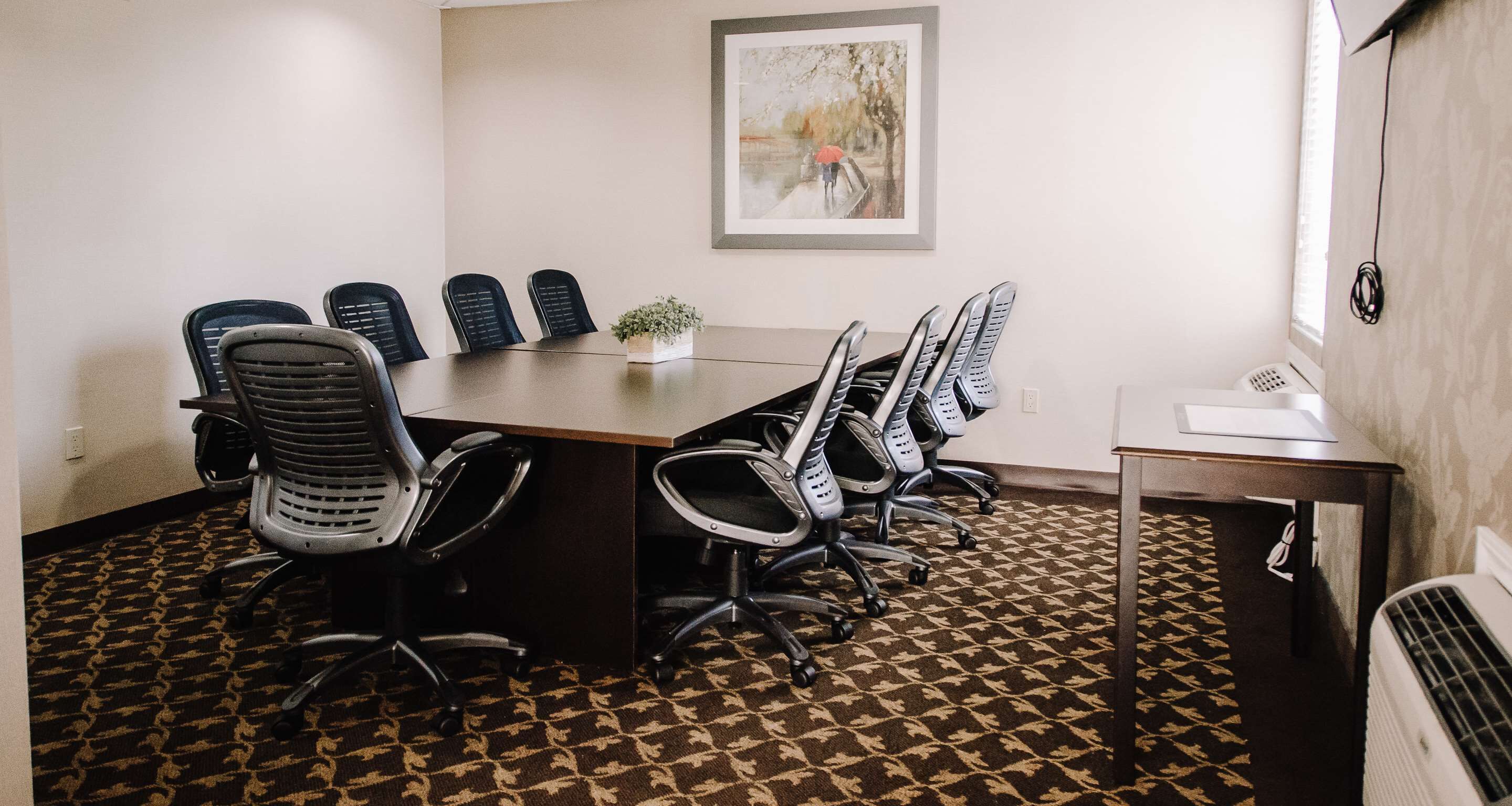 Un salón de conferencias con una larga mesa, varias sillas de oficina, una planta en maceta y un cuadro en la pared.