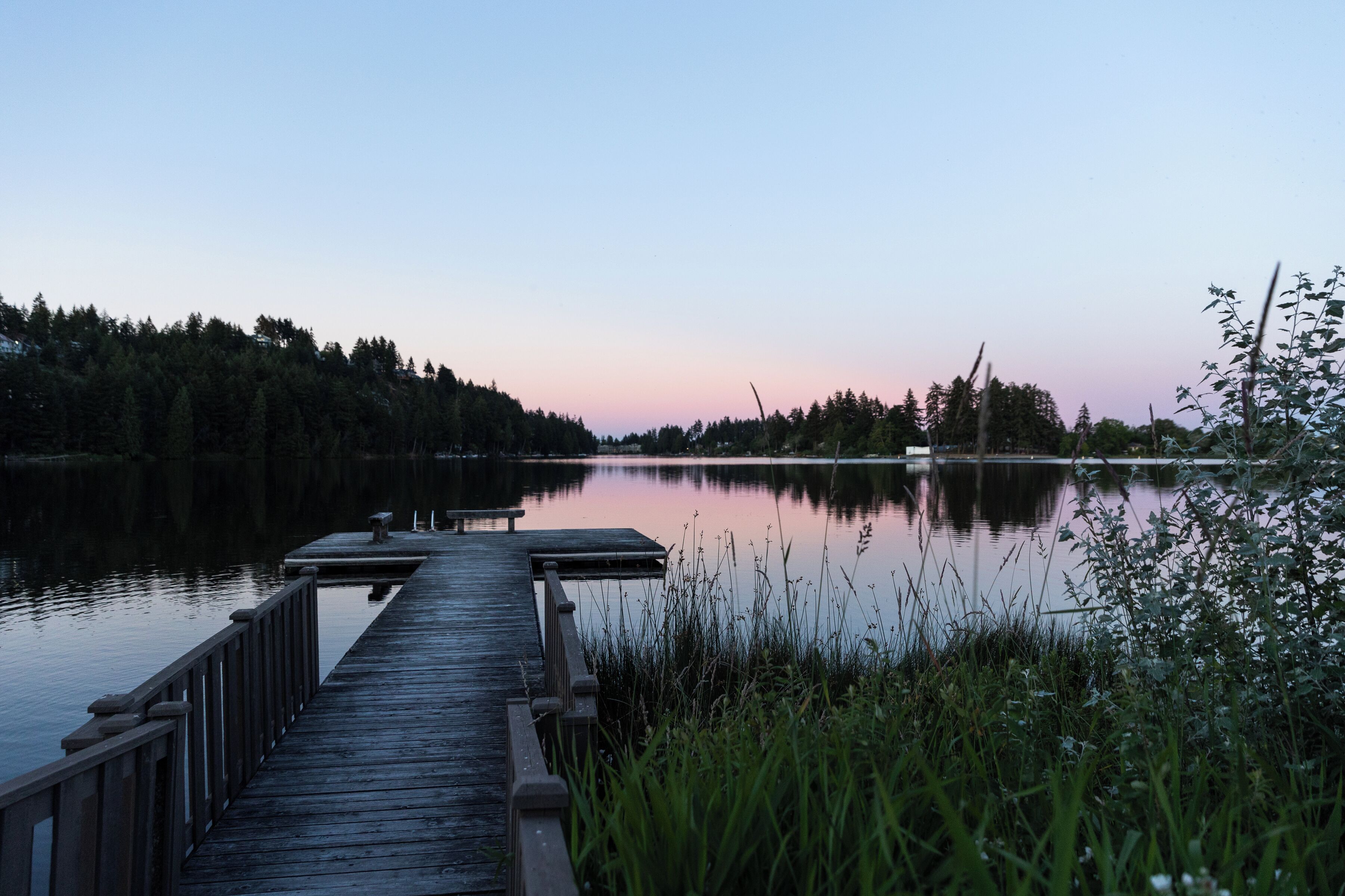 A wooden pier extending into calm water with dense forest on both sides.