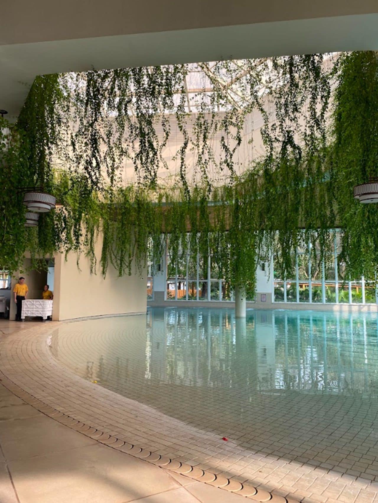 Una piscina interior con suelo de baldosas, rodeada de paredes con plantas colgantes.