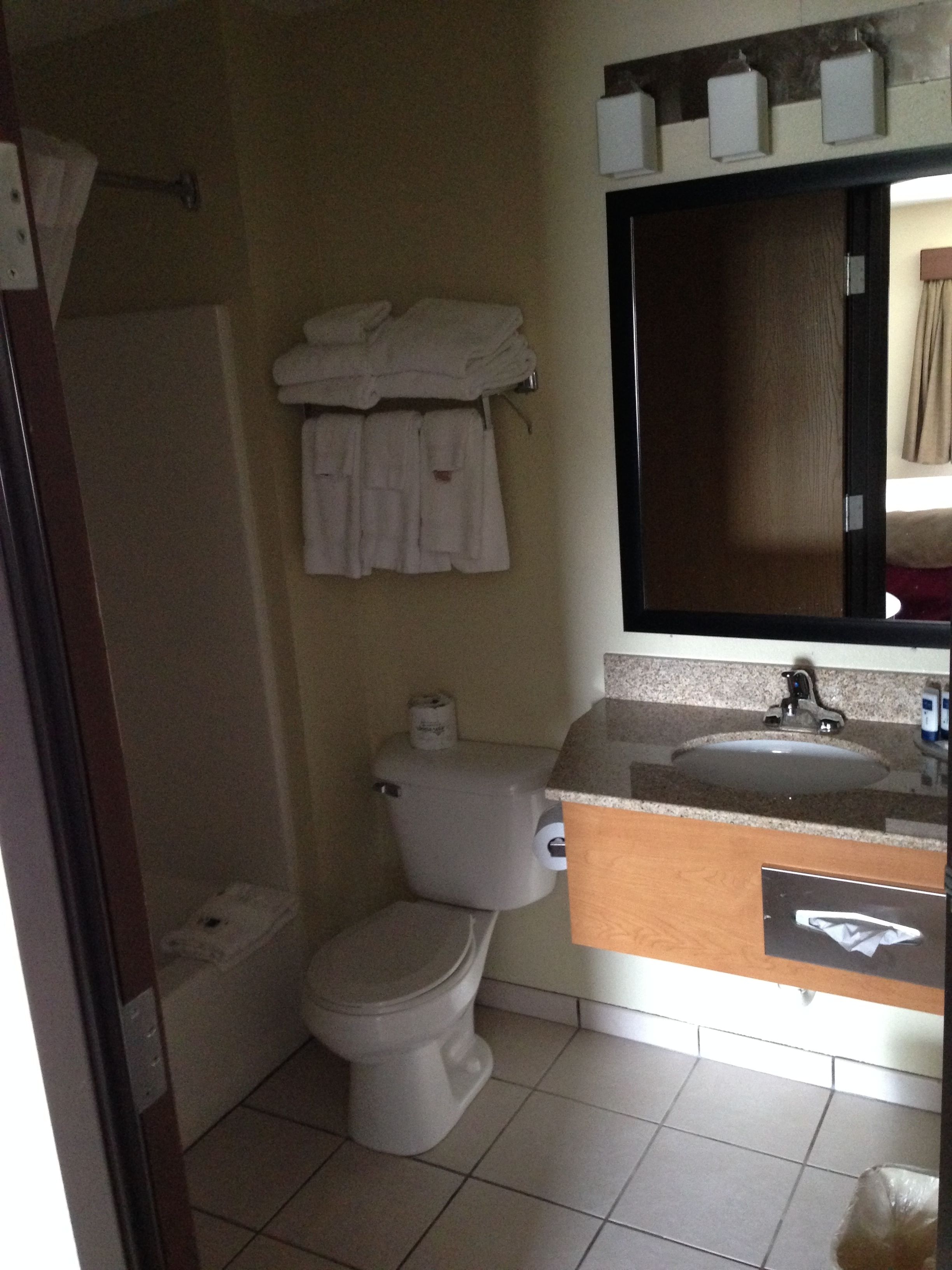 A bathroom with a toilet, sink, and a mirror above the counter.