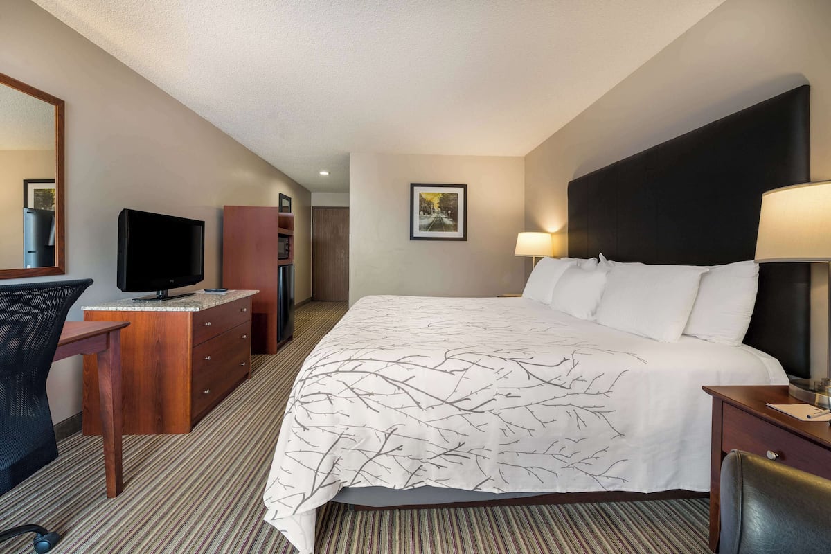 Standard Room, 2 Queen Beds, Accessible, Refrigerator & Microwave | Premium bedding, pillowtop beds, in-room safe, desk