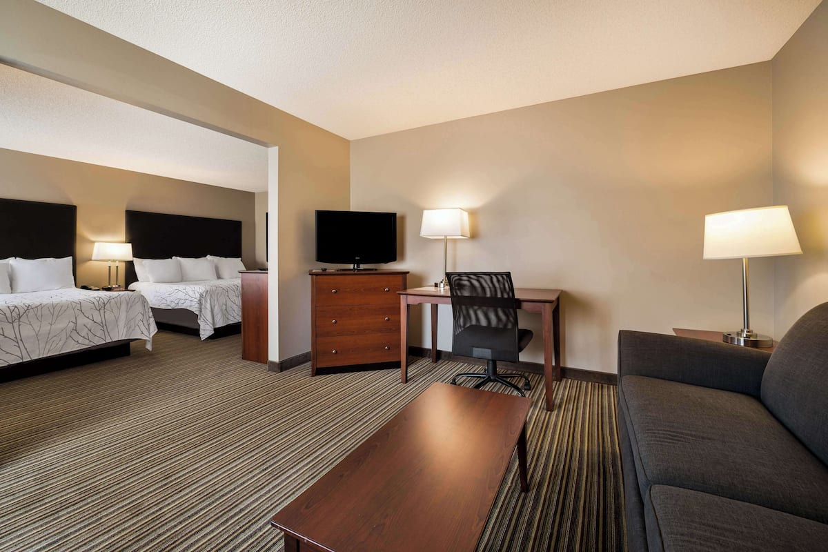 Chambre Standard, plusieurs lits, non-fumeur (with Sofabed;Oversized Room)