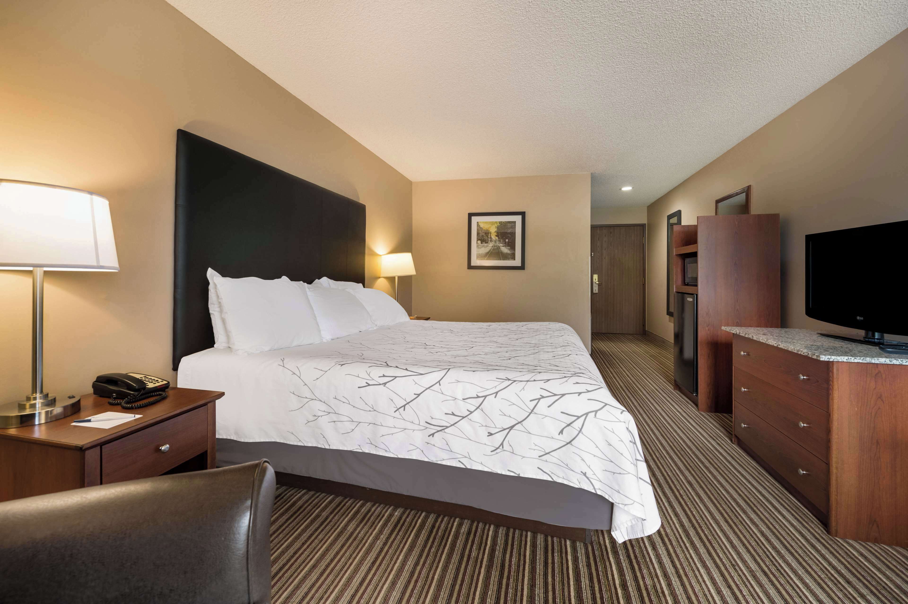 A hotel room with a large bed, a desk with a lamp, a telephone, a television, and a wooden dresser.