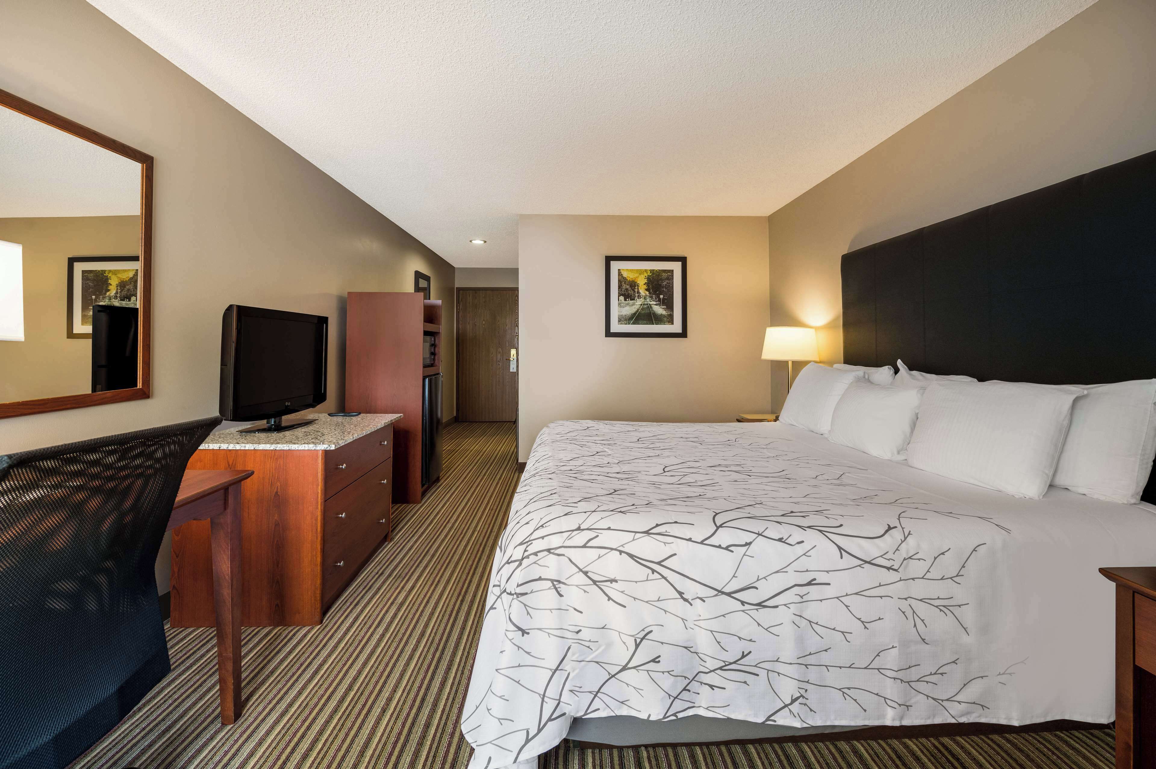 A hotel room with a large bed, a desk with a television, a dresser, and a mirror.