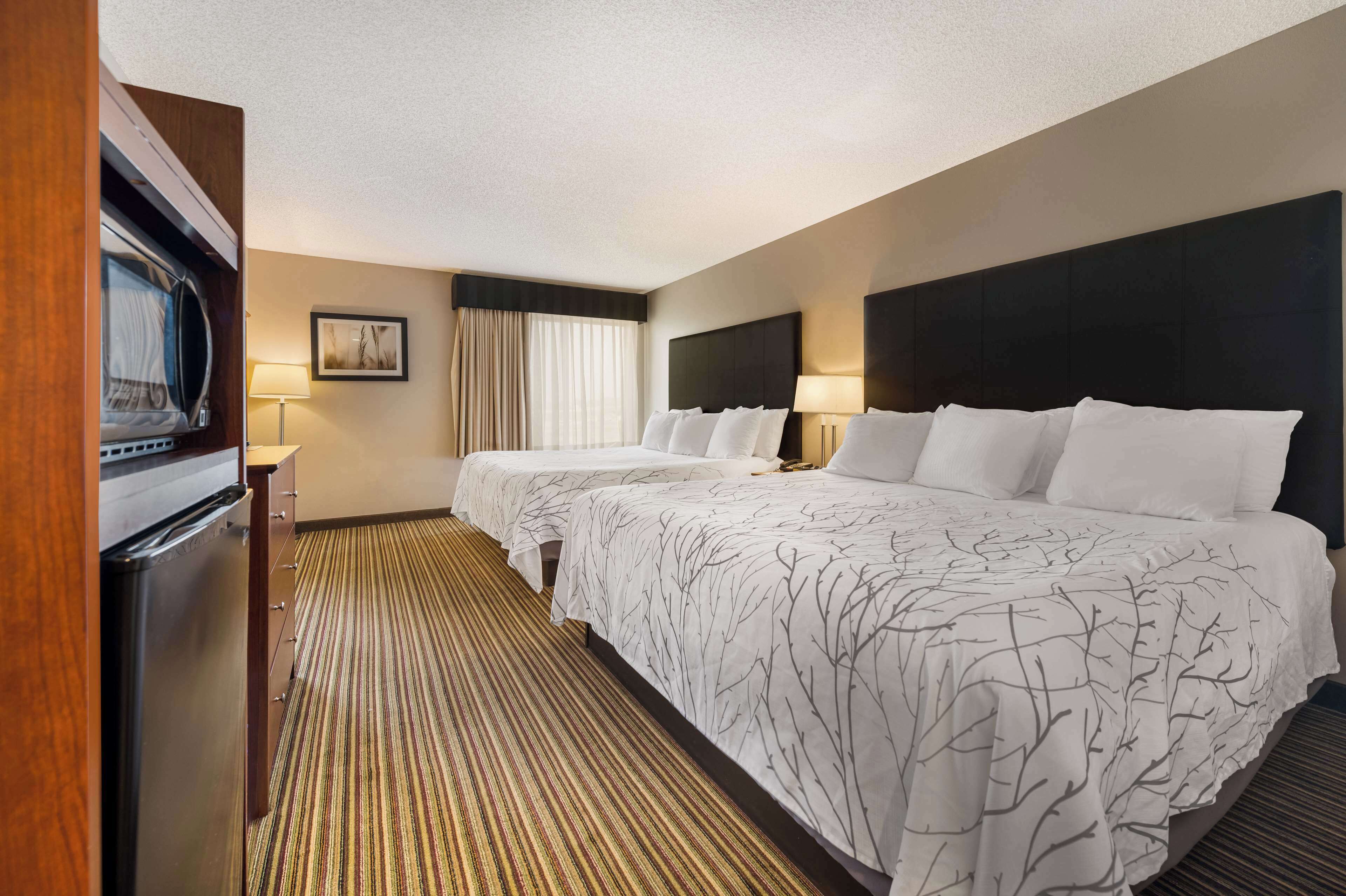 standard room, multiple beds, non smoking, refrigerator & microwave (with sofabed;oversized room) | premium bedding, pillow-top beds, in-room safe, desk