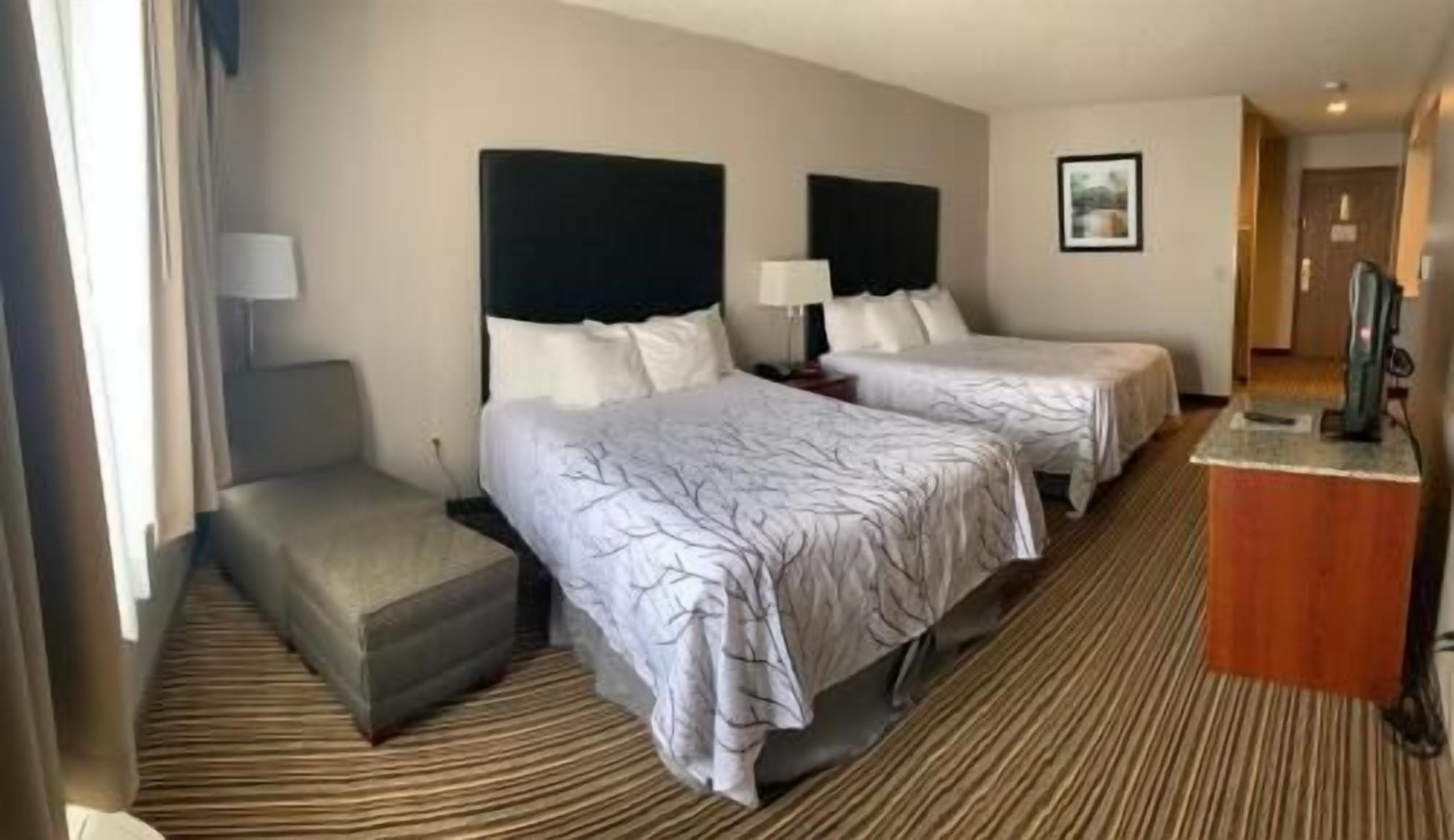 Premium bedding, pillowtop beds, in-room safe, desk