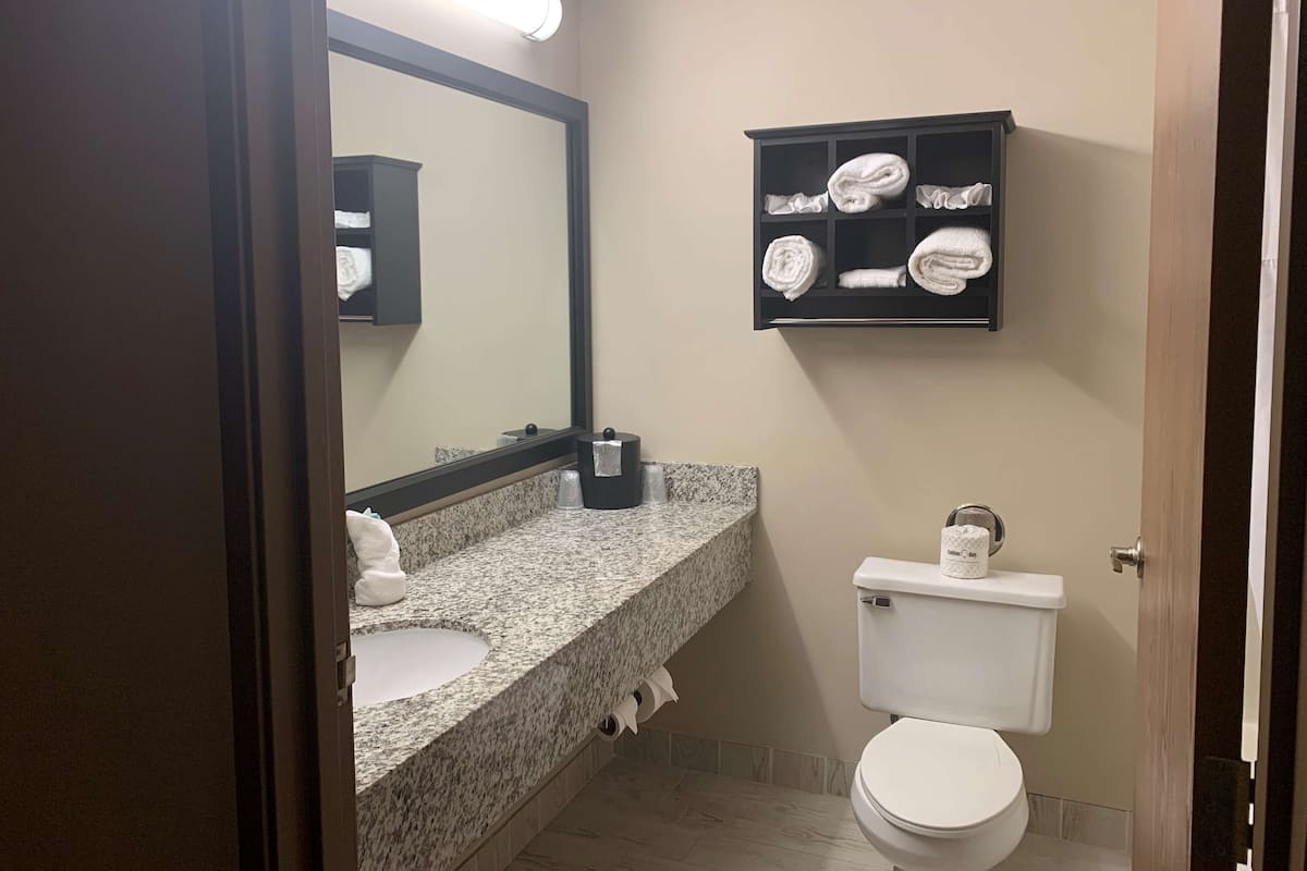 Combined shower/bathtub, free toiletries, hair dryer, towels