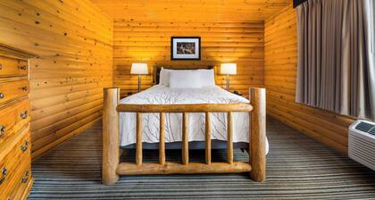 Best Western Park Oasis Inn