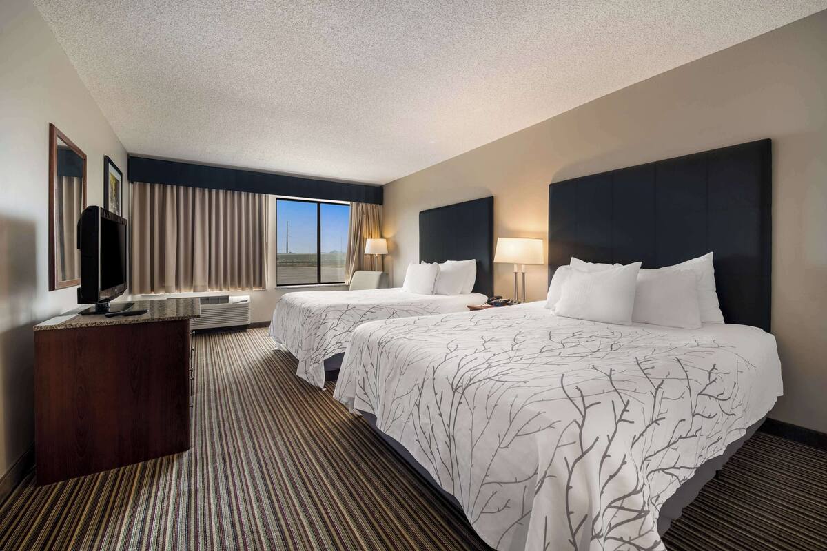 standard room, multiple beds, non smoking, kitchenette (with sofabed) | premium bedding, pillow-top beds, in-room safe, desk