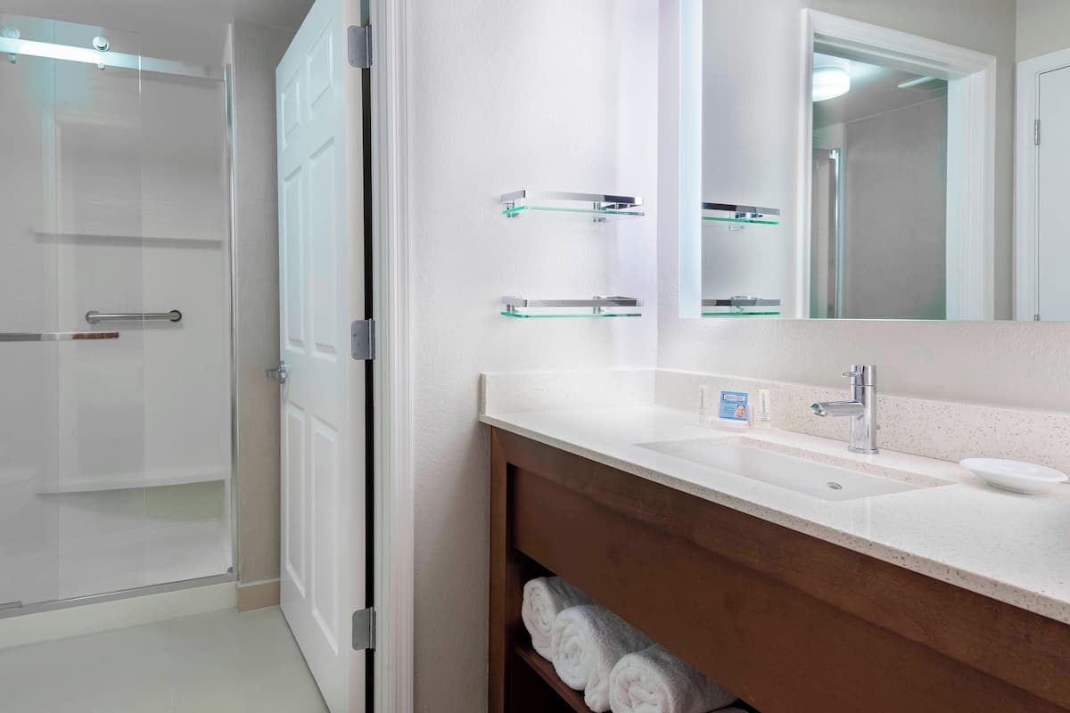 combined shower/bathtub, free toiletries, hair dryer, towels