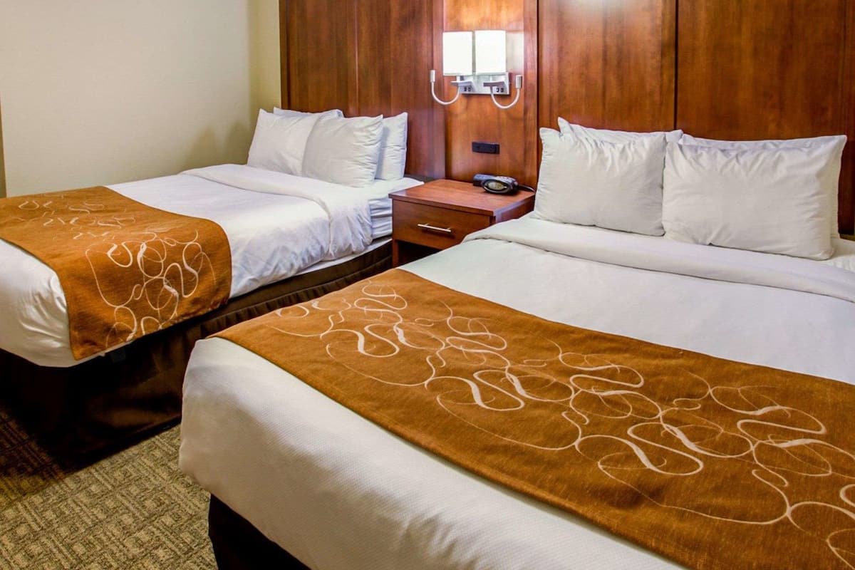 suite, 2 queen beds, non smoking | desk, blackout curtains, iron/ironing board, free cots/infant beds