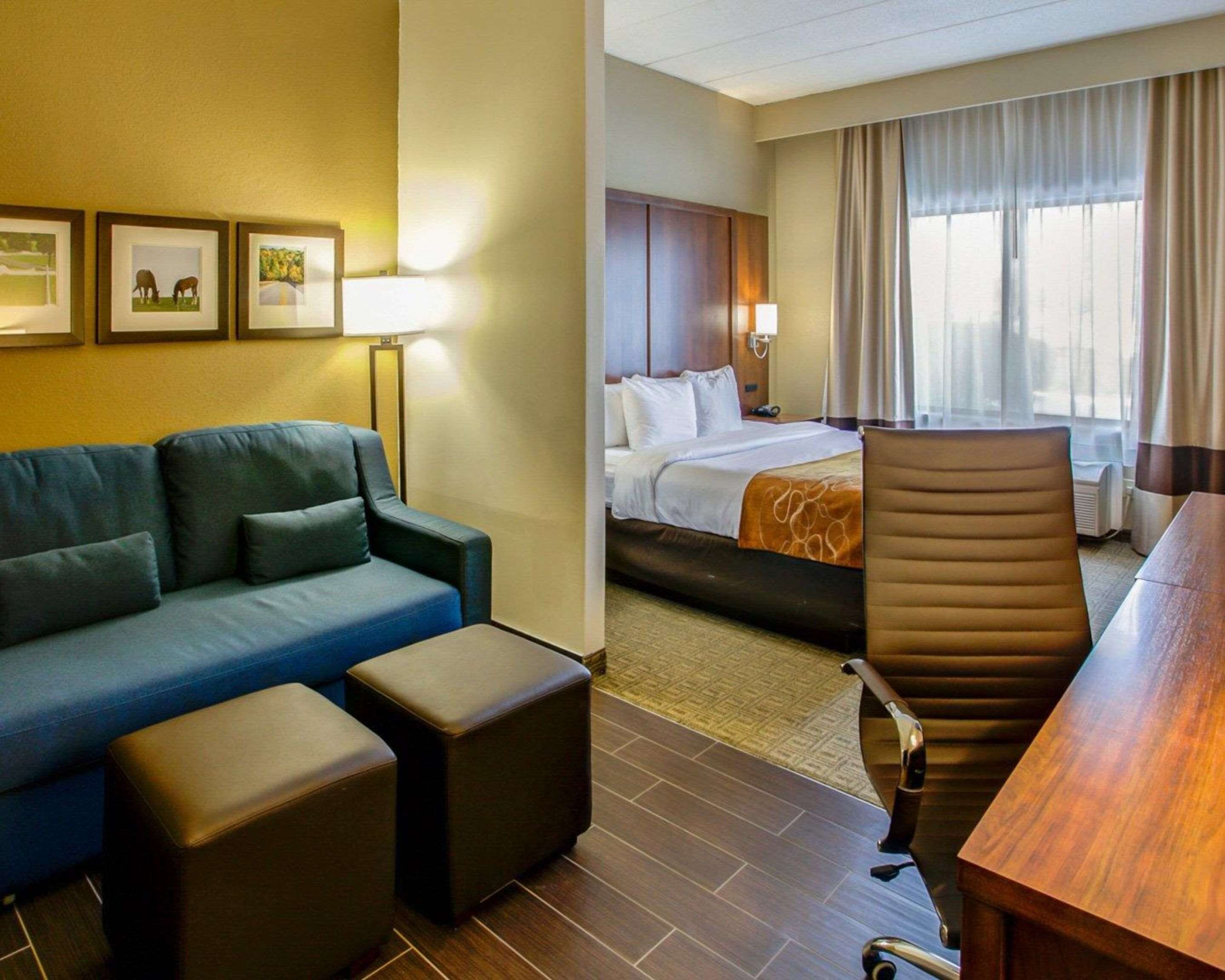 room, 1 king bed with sofa bed, accessible, non smoking | desk, blackout curtains, iron/ironing board, free cots/infant beds