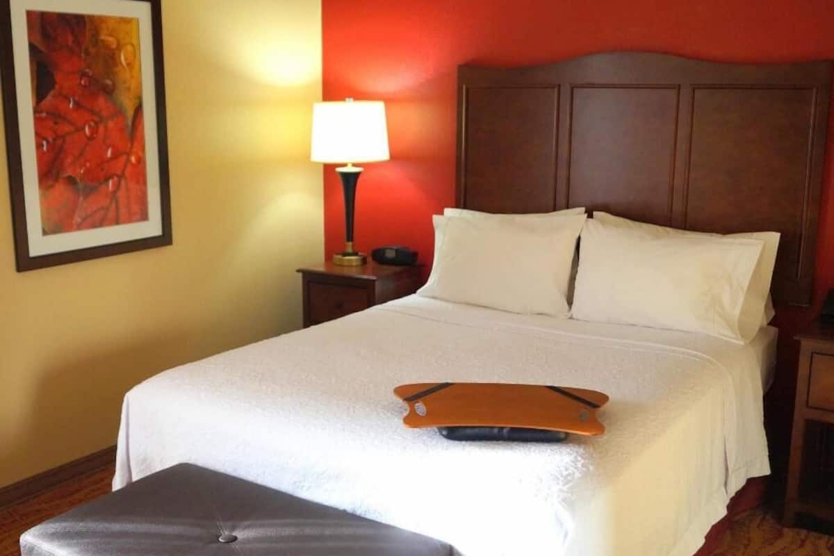 Hypo-allergenic bedding, desk, laptop workspace, blackout curtains