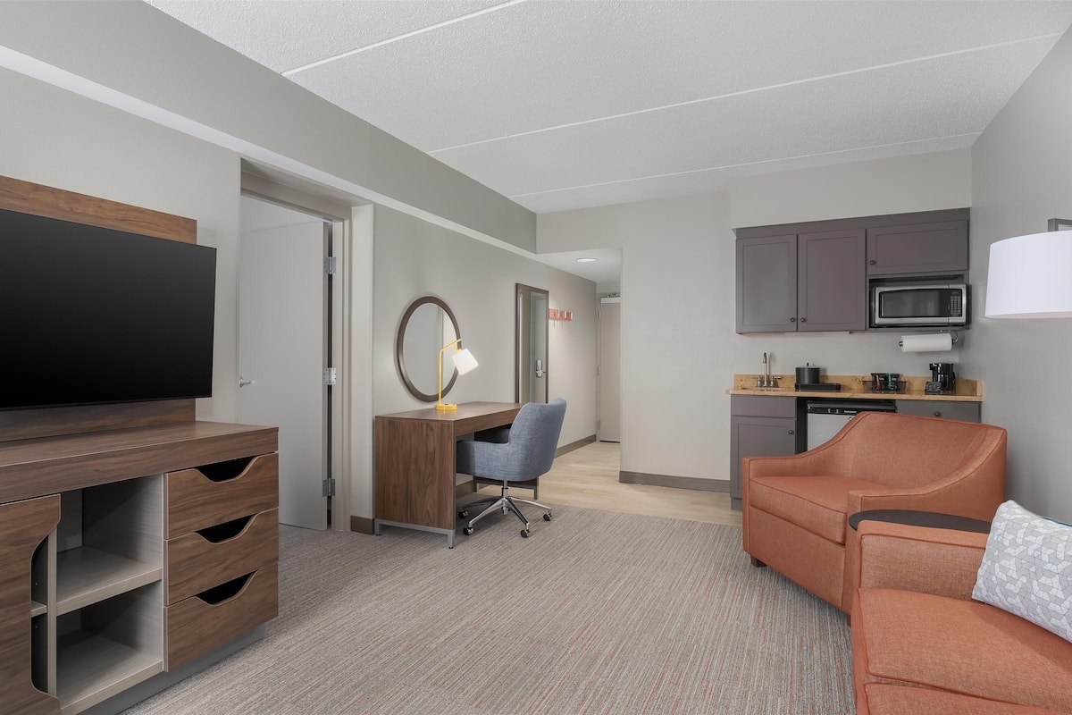 basic studio suite, 1 king bed, non smoking | living area | 37-inch flat-screen tv with cable channels, tv