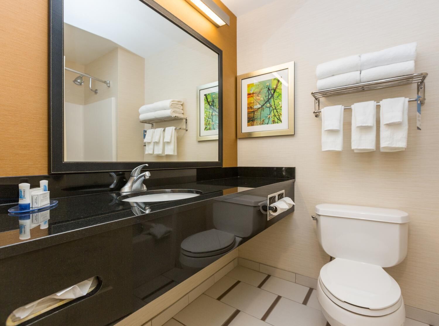 combined shower/bathtub, free toiletries, hair dryer, towels