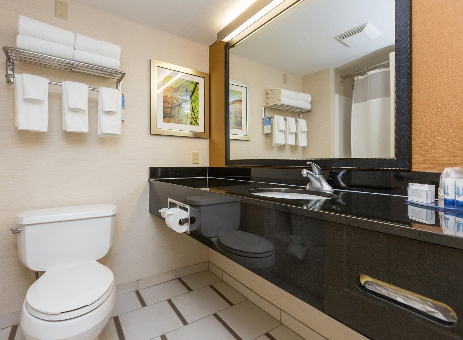 combined shower/bathtub, free toiletries, hair dryer, towels