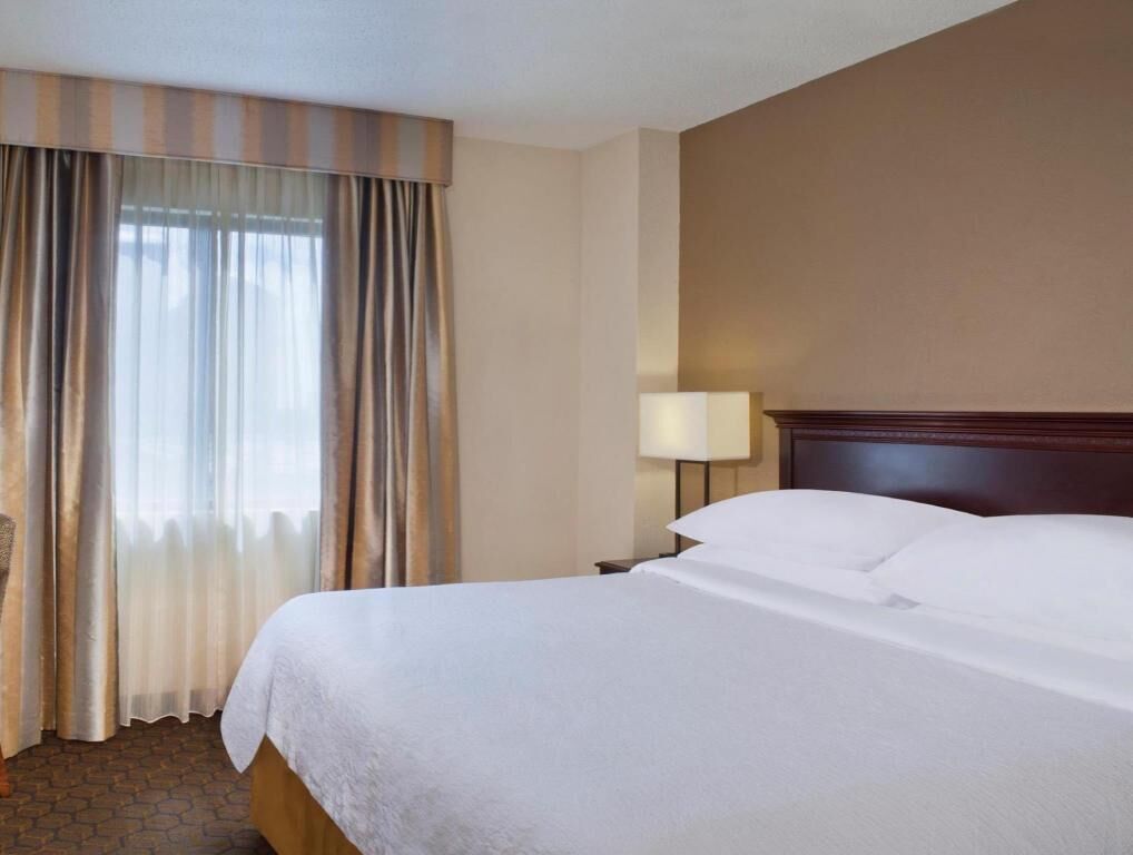 1 chambre, draps en coton égyptien, literie de qualité