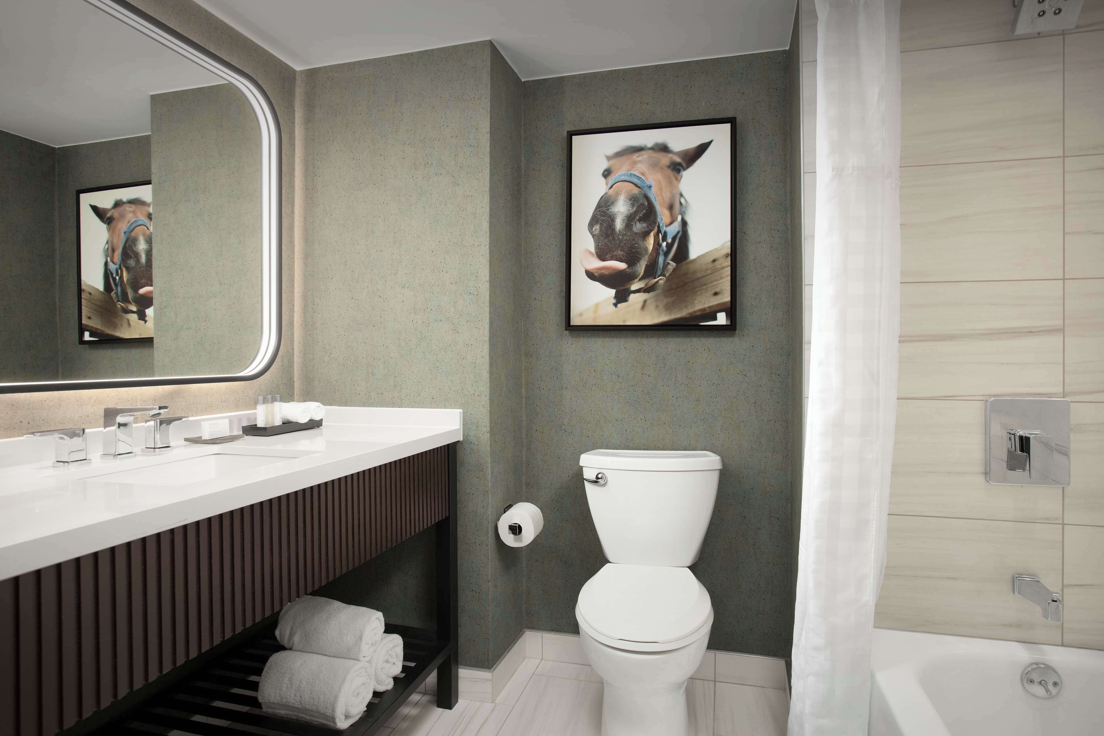 Photo - Embassy Suites by Hilton Dallas Near the Galleria