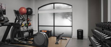 A gym with treadmills, elliptical machines, a bench, and a rack of dumbbells.