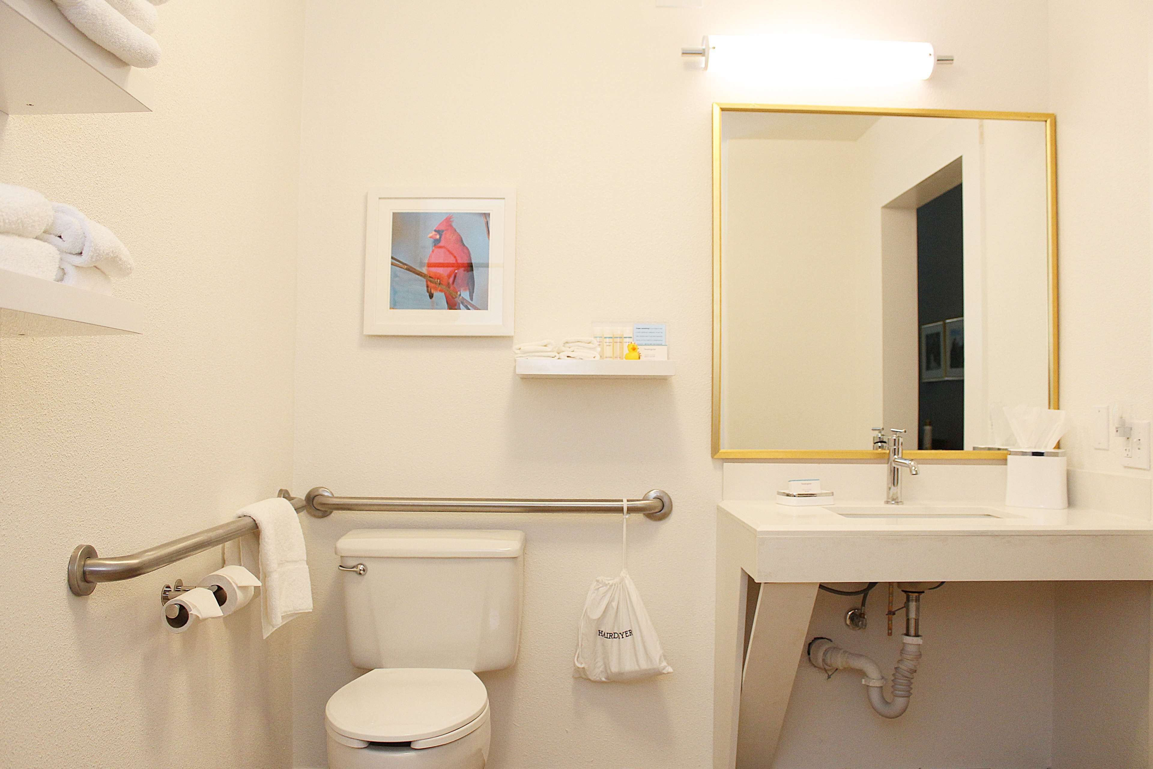 combined shower/bathtub, free toiletries, hair dryer, towels