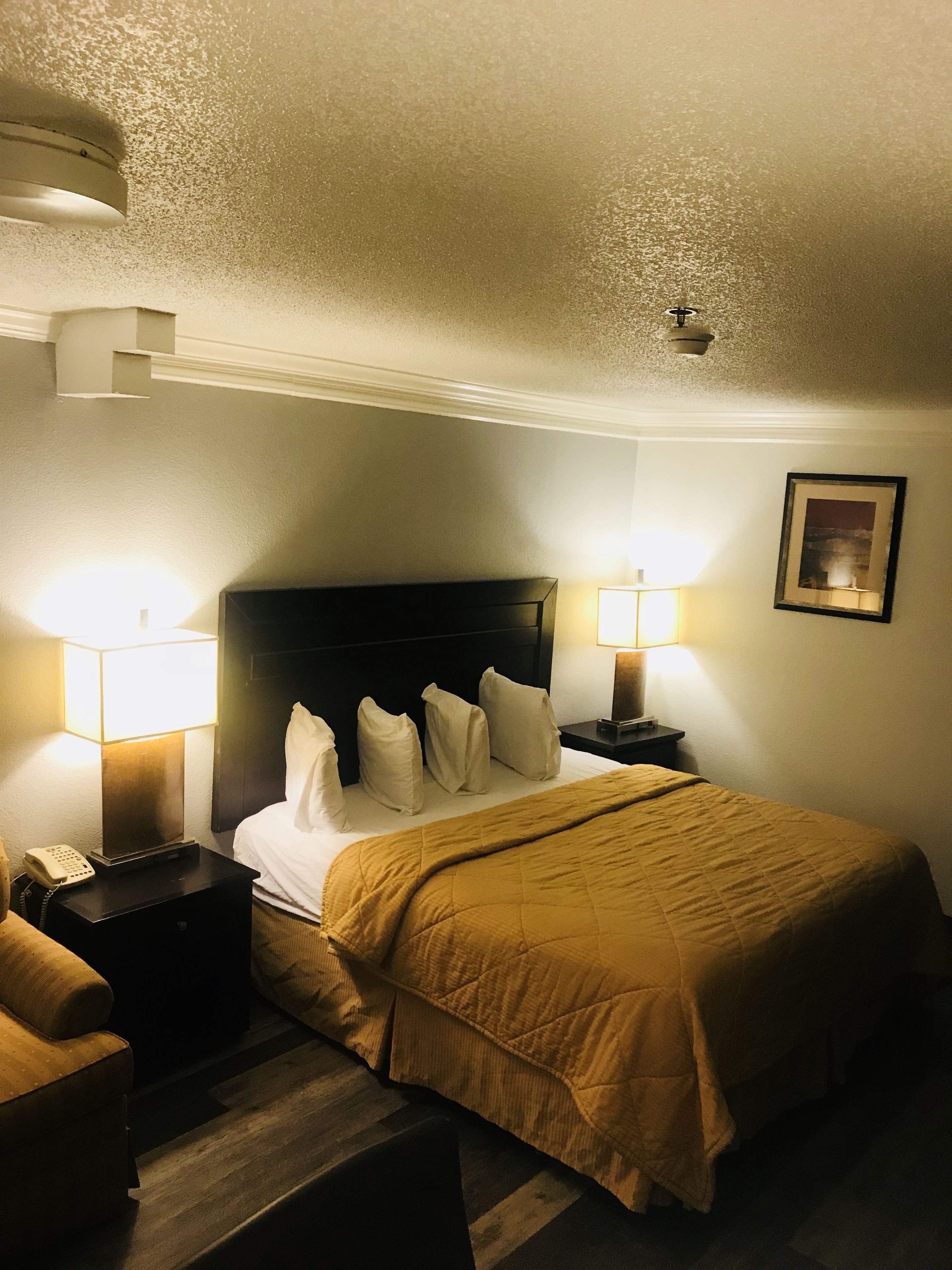 Une chambre d’hôtel avec un grand lit, deux tables de chevet avec des lampes, un téléphone et un tableau encadré au mur.