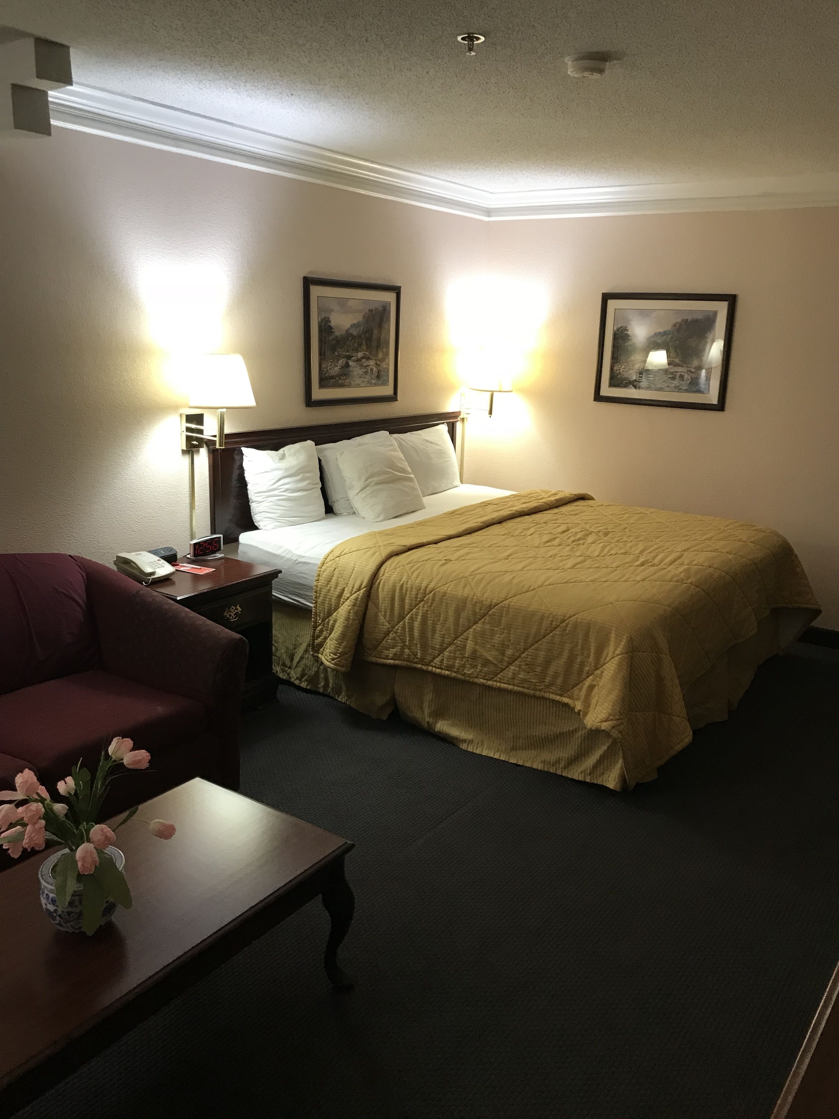 Quarto de hotel com cama, escrivaninha, cadeira e mesa de cabeceira com abajur.