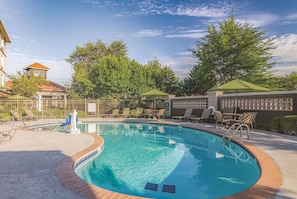 Seasonal outdoor pool, open 10:00 AM to 10:00 PM, pool loungers