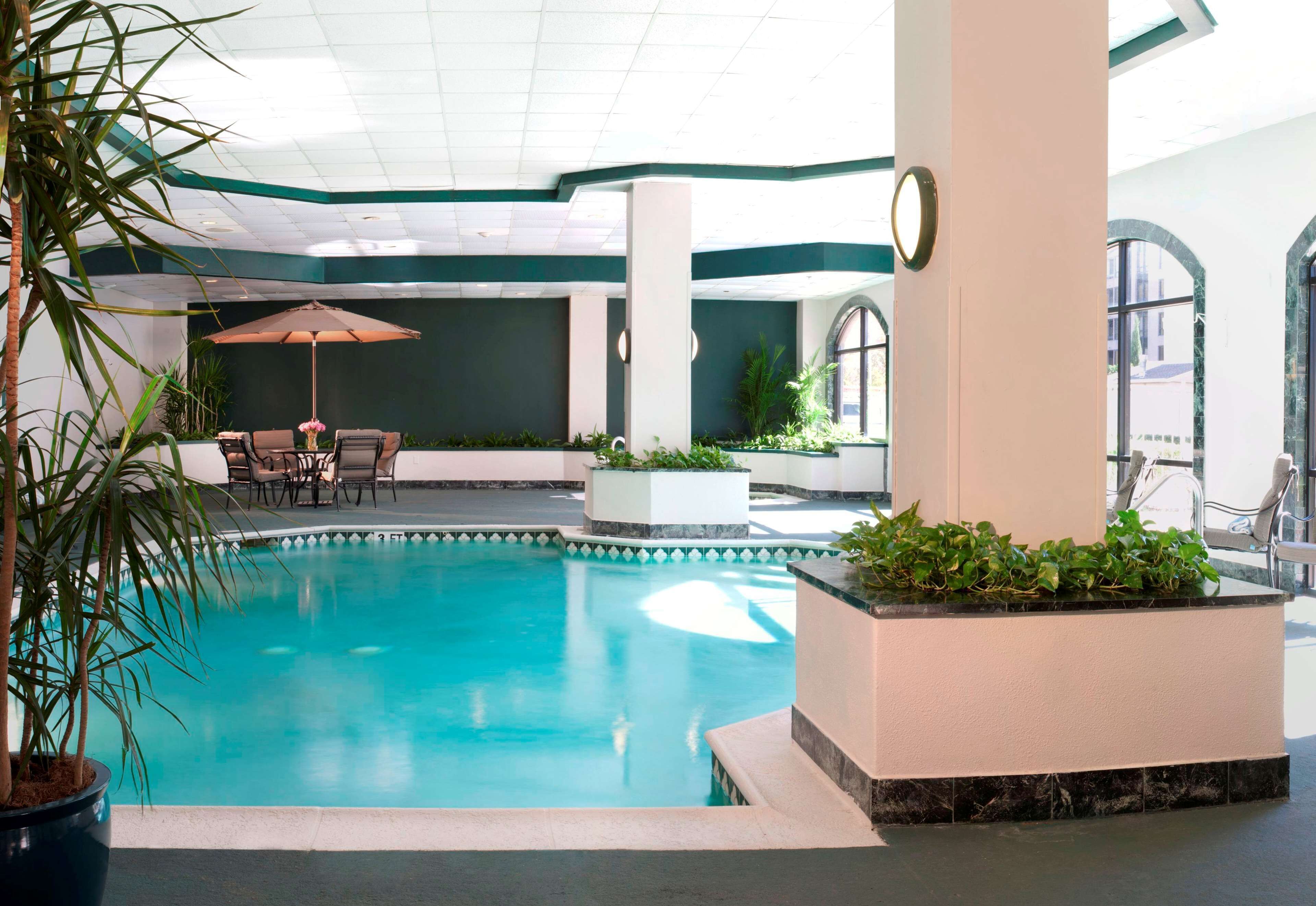 Una piscina interior con borde de azulejos, rodeada de plantas en macetas, una mesa con sillas y un gran paraguas.