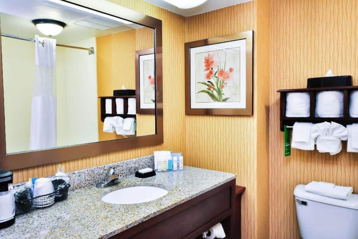 Bathroom | Combined shower/bathtub, deep-soaking bathtub, free toiletries