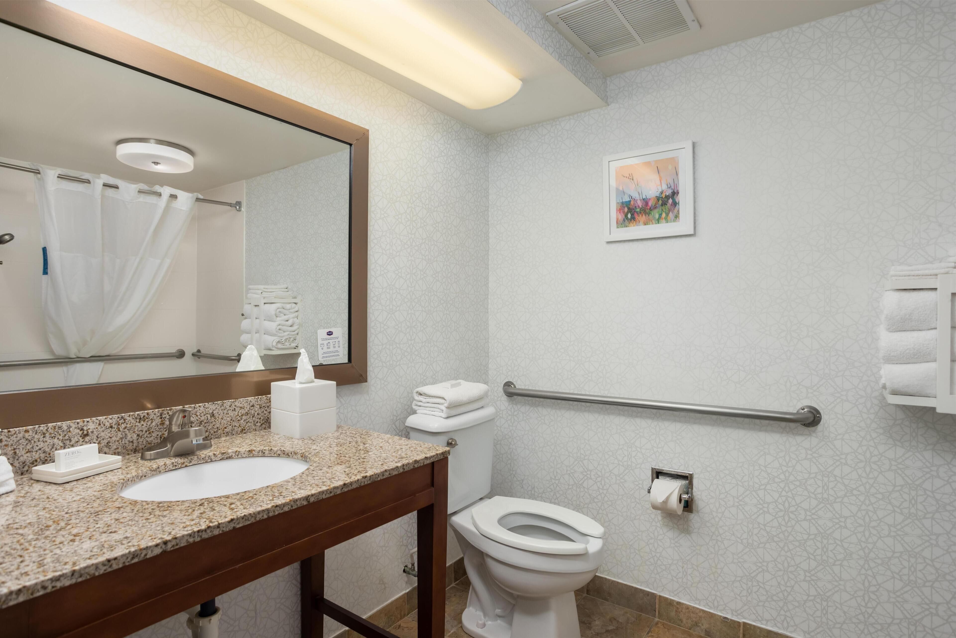 A bathroom with a sink, mirror, toilet, handrail, and a framed picture on the wall.