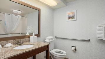 A bathroom with a sink, mirror, toilet, handrail, and a framed picture on the wall.