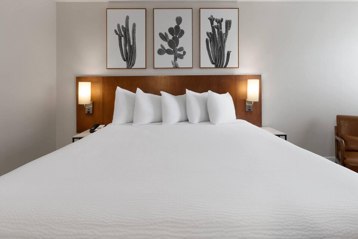 A hotel room with a large bed, white bedding, a wooden headboard, and three framed cactus artworks on the wall.