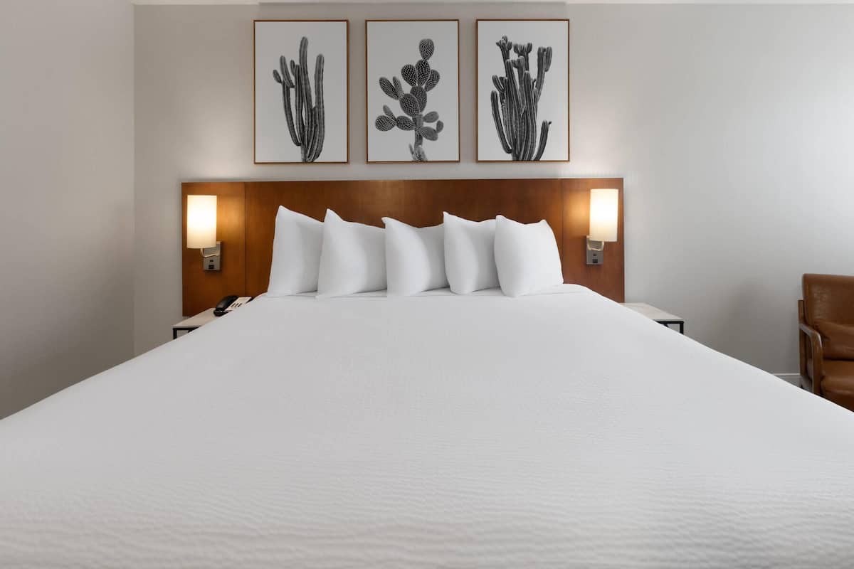 Chambre, 1 trÚs grand lit, accessible aux personnes à mobilité réduite (Mobility, Roll-in Shower) | Surmatelas, bureau, espace de travail pour ordinateur portable