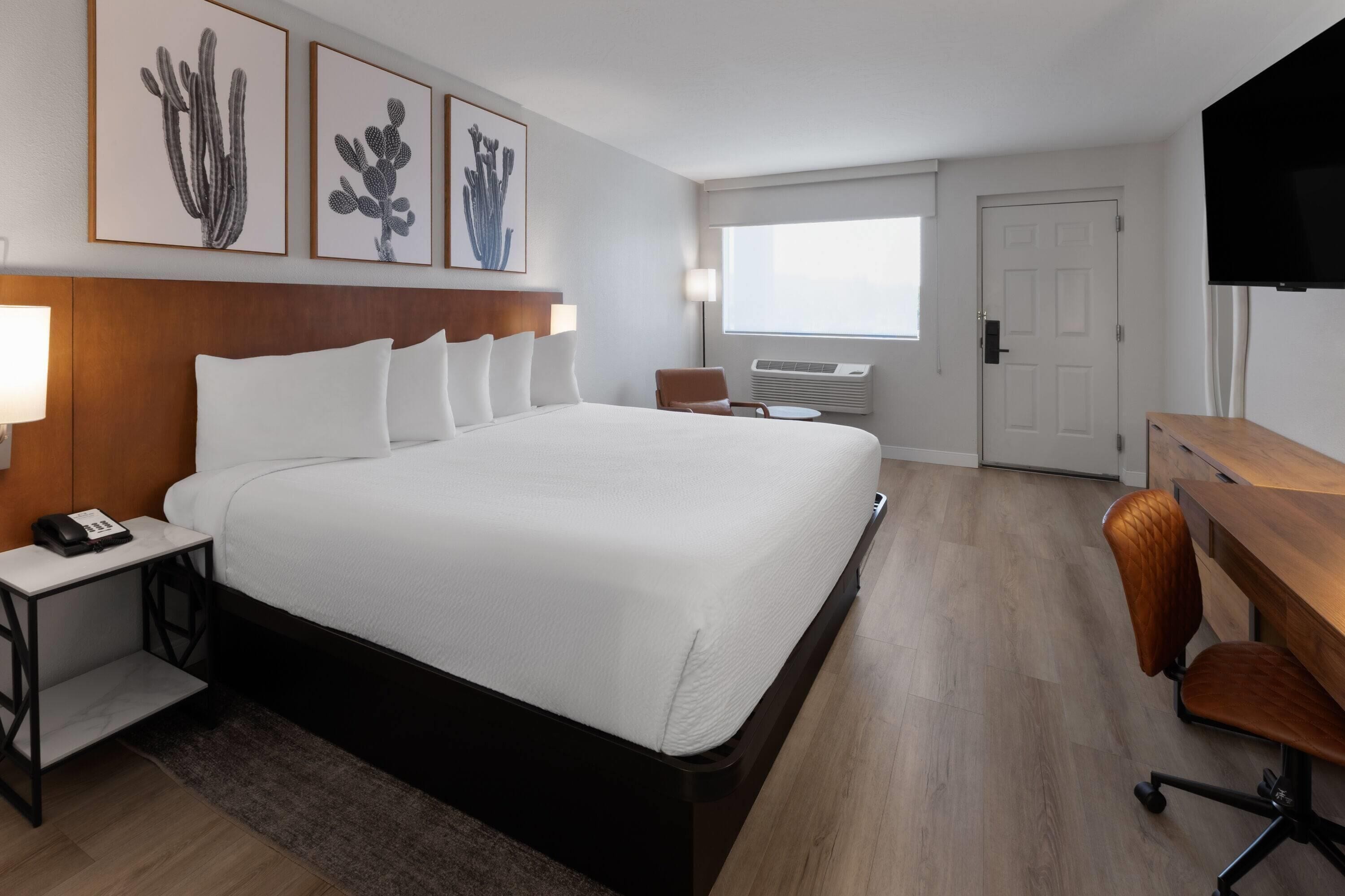 Room, 1 King Bed, Accessible, Non Smoking (Mobility, Roll-in Shower) | Pillowtop beds, desk, laptop workspace, blackout drapes