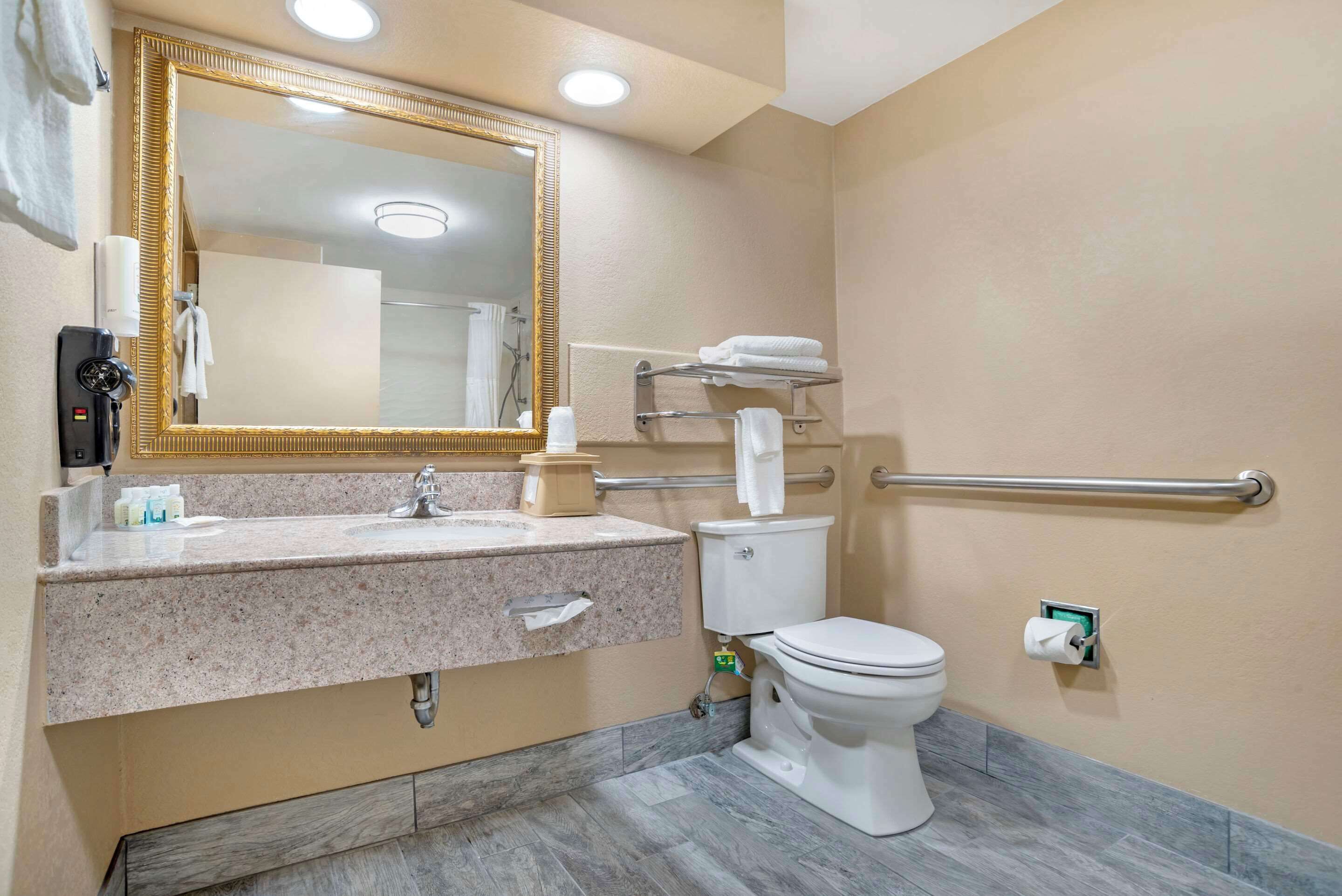 A bathroom with a granite countertop sink, a white toilet, a towel rack, and a mirror with a gold frame.