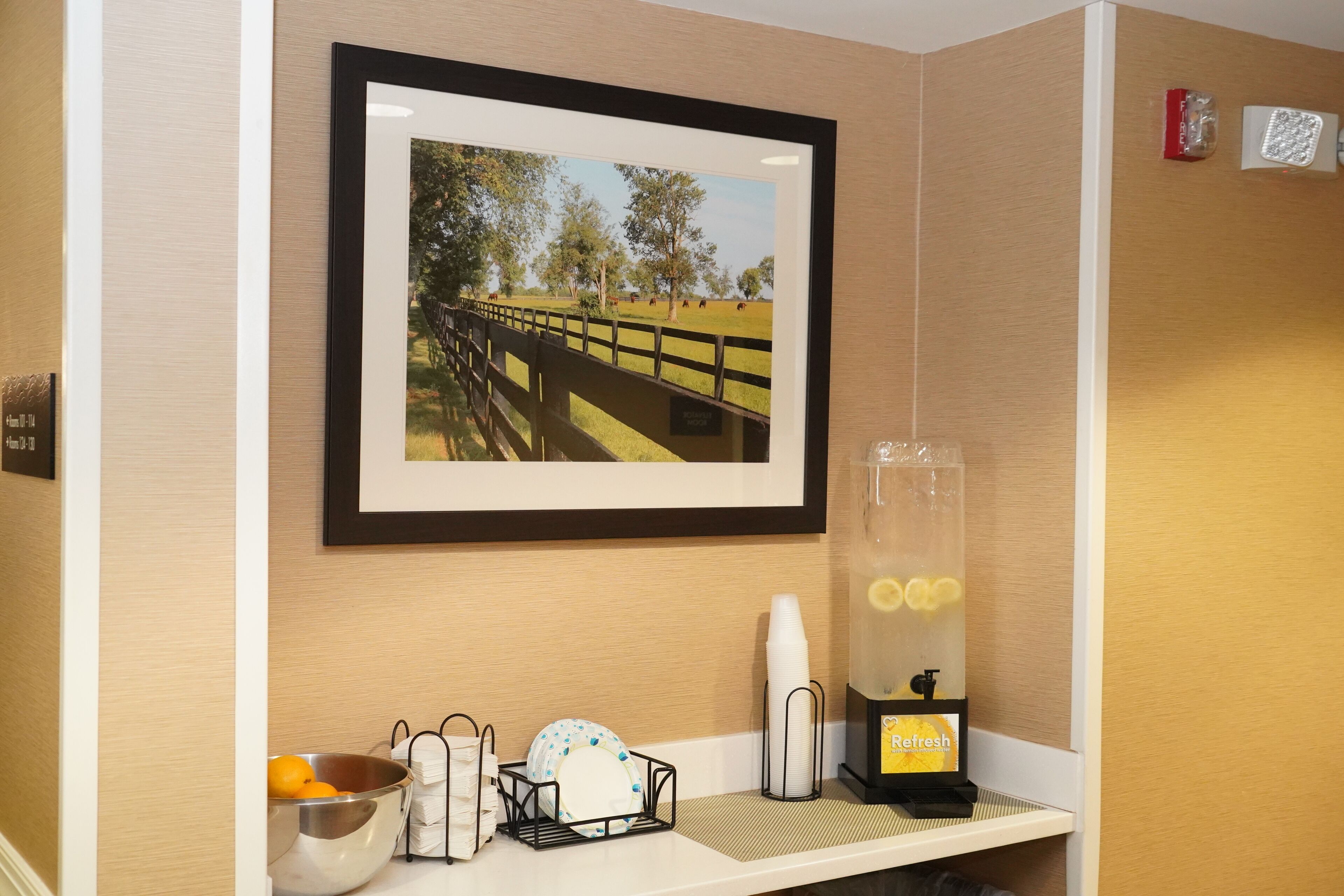 A framed picture of a park, a water dispenser with lemons, a bowl of oranges, and a dish rack with plates.