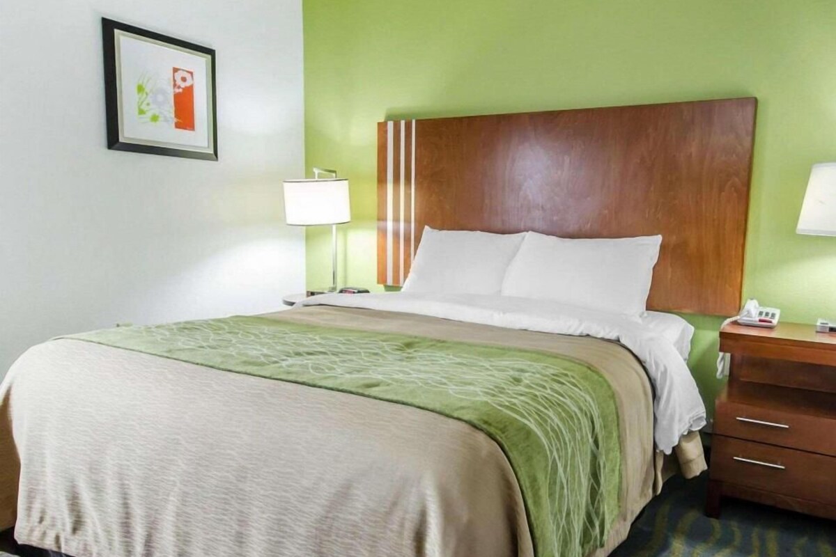 A hotel room with a bed, a nightstand, a lamp, a dresser, and a framed picture on the wall.