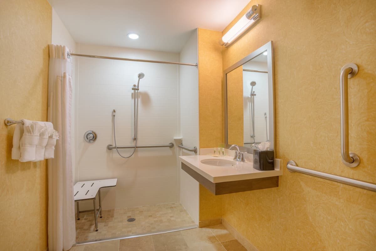 combined shower/bathtub, free toiletries, hair dryer, towels