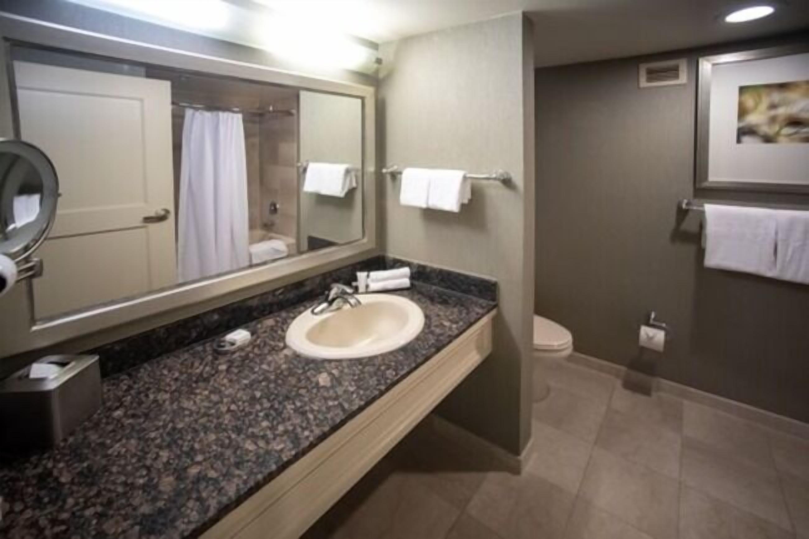 combined shower/bathtub, free toiletries, hair dryer, towels