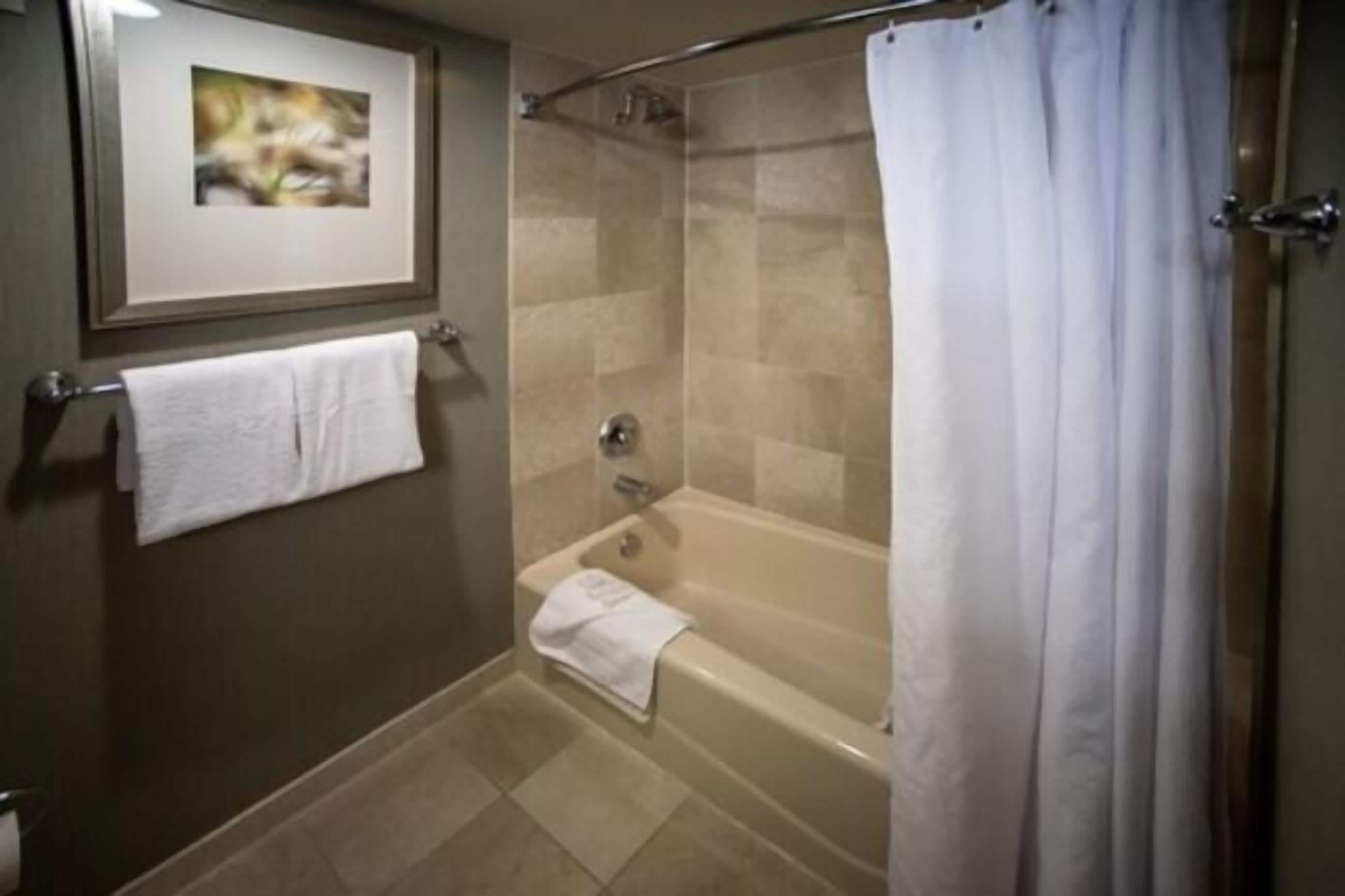 combined shower/bathtub, free toiletries, hair dryer, towels