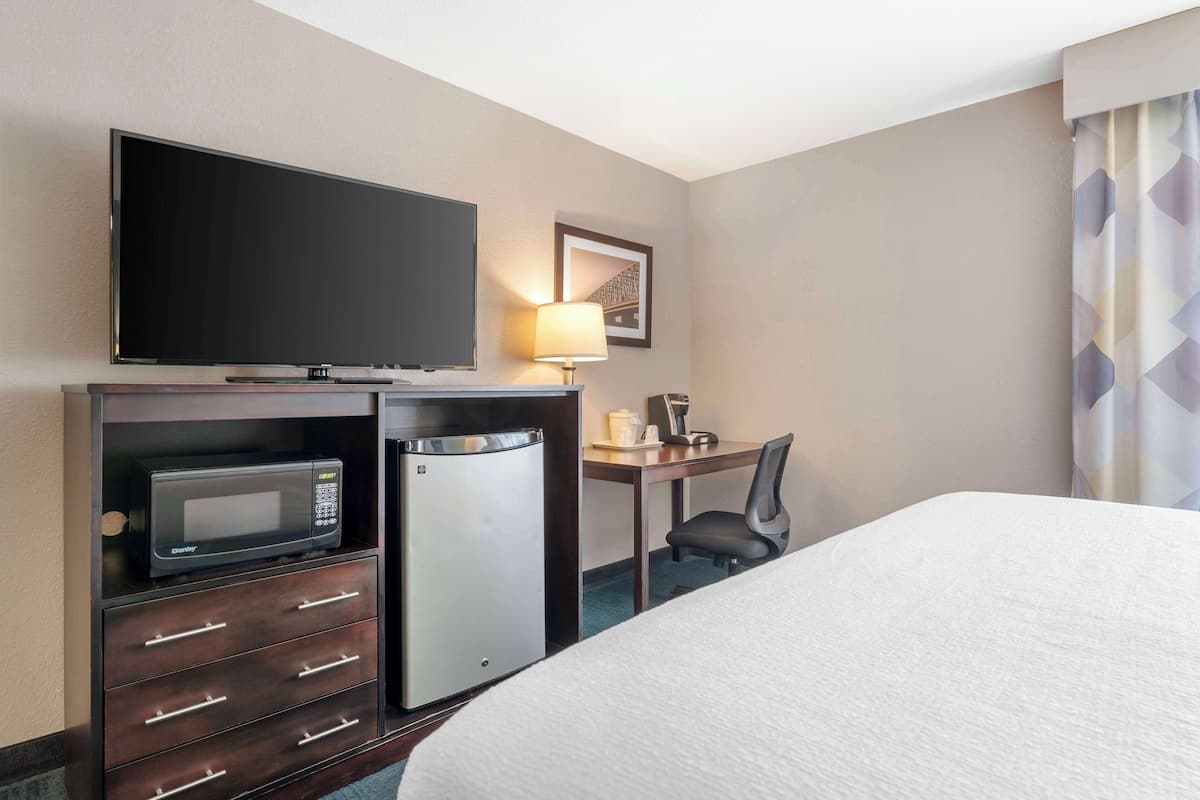Standard Room, 1 King Bed, Non Smoking, Microwave | Desk, laptop workspace, iron/ironing board, free cribs/infant beds