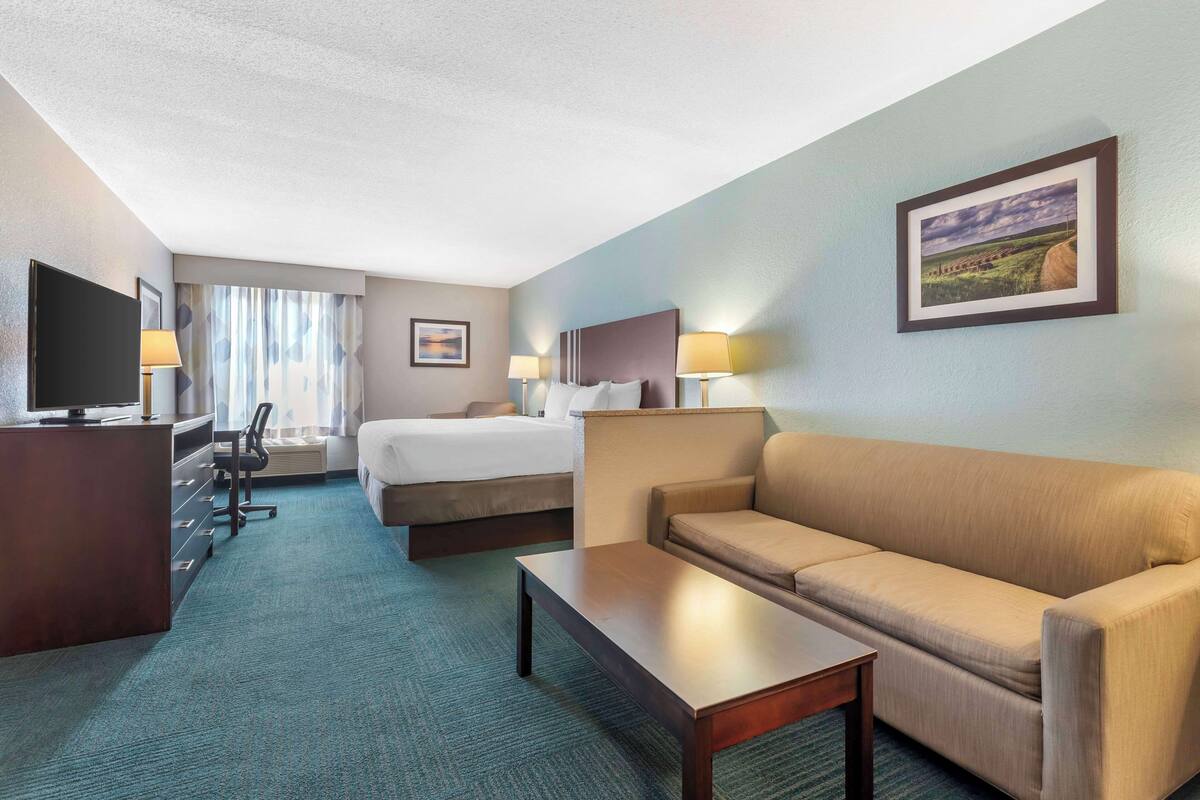 Habitación de hotel con cama, sofá, escritorio con silla, televisión y un cuadro en la pared.