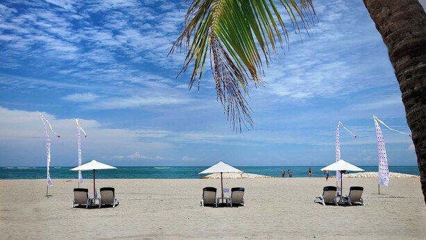 A beach with white umbrellas and lounge chairs, palm trees, and the ocean in the background.