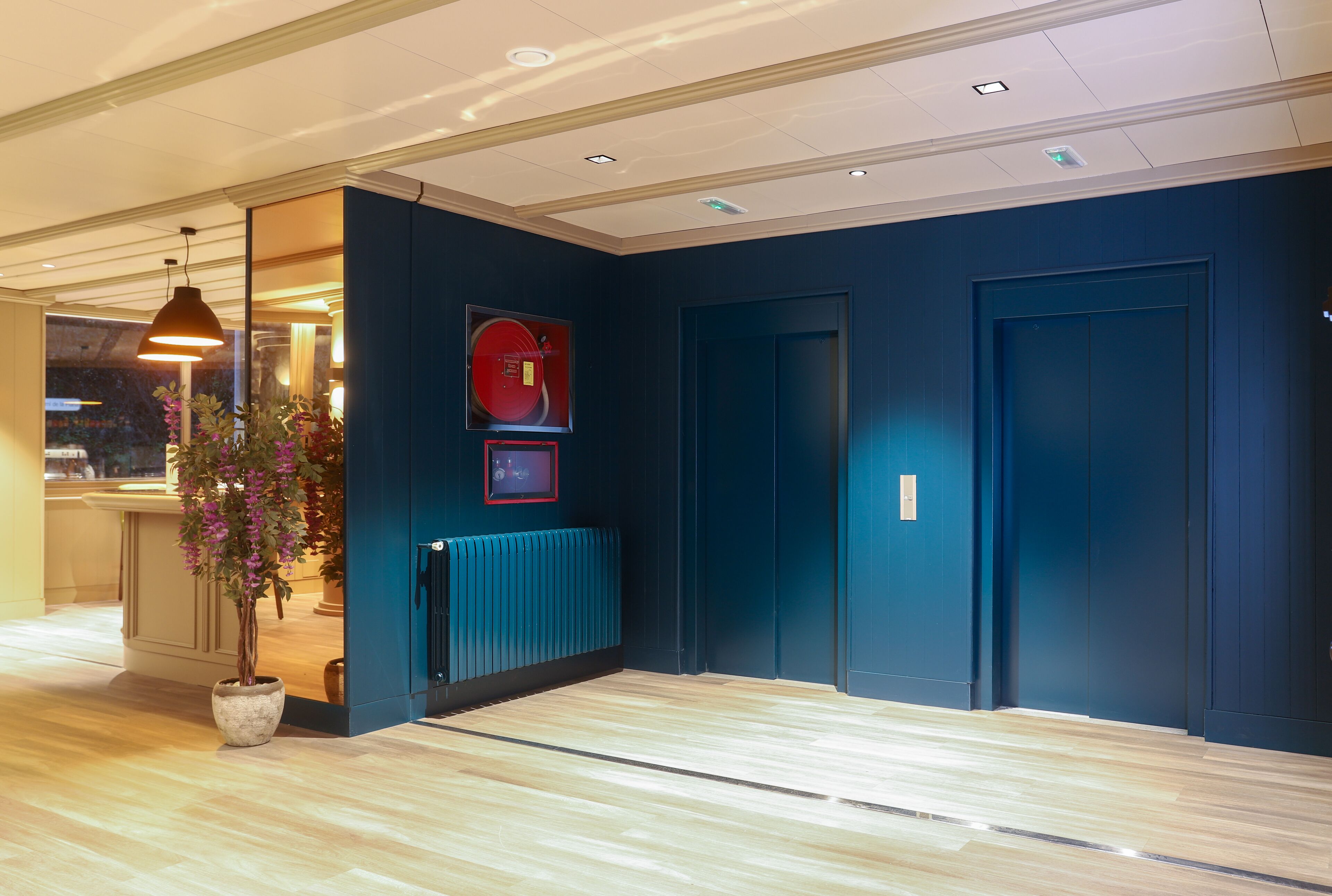 Un pasillo con pared azul, una planta en maceta, un radiador y una puerta.