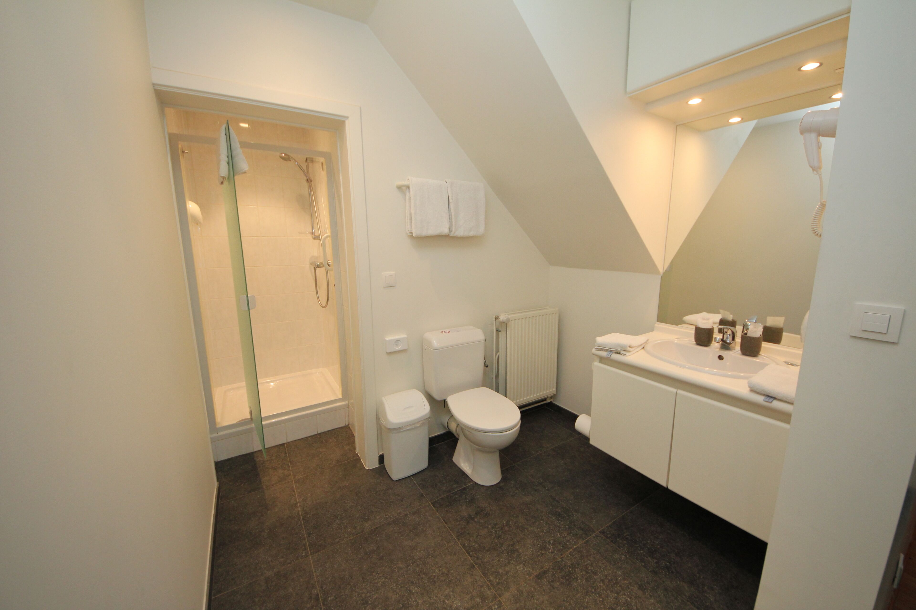 A modern bathroom with a shower, toilet, and sink.