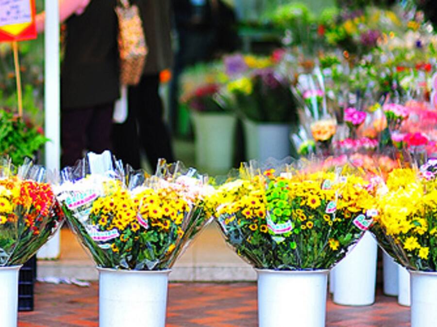 A variety of flower bouquets in white containers, arranged in rows.