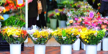 Diversos arreglos florales en recipientes blancos, dispuestos en filas.