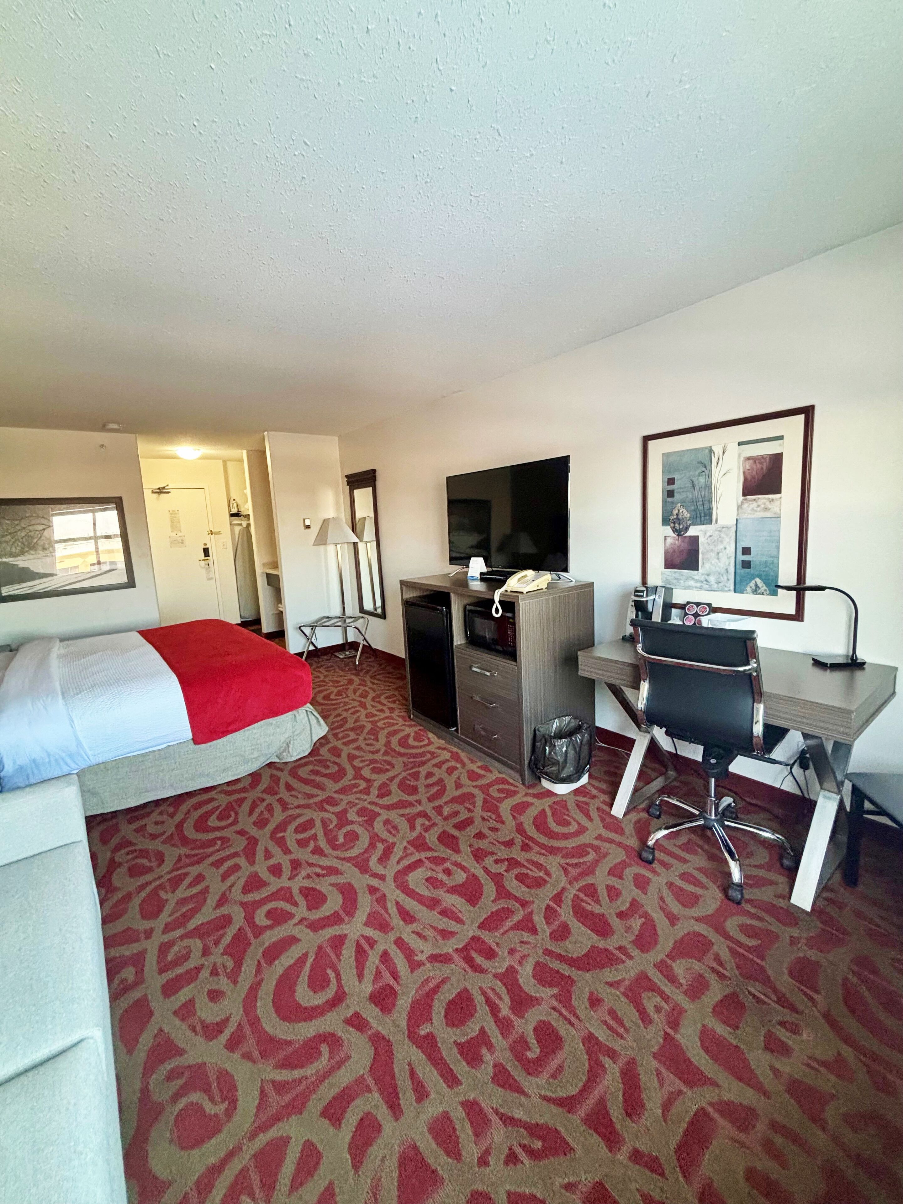 Habitación de hotel con cama, escritorio, silla, televisor y alfombra estampada.
